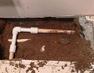 墨竹工卡测漏水哪家好