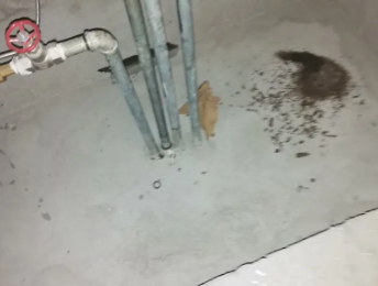 墨竹工卡卫生间测漏水价格明细