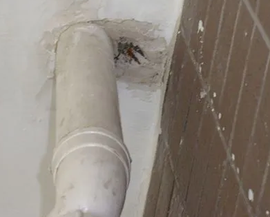 墨竹工卡漏水检测哪家好